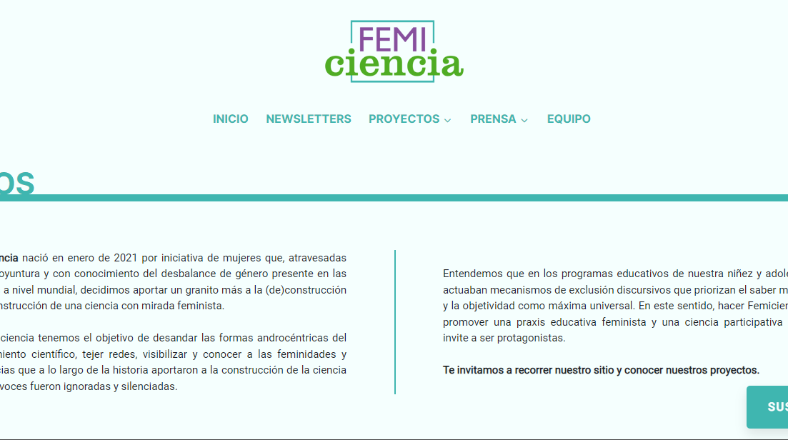 Imagen sitio web Femiciencia